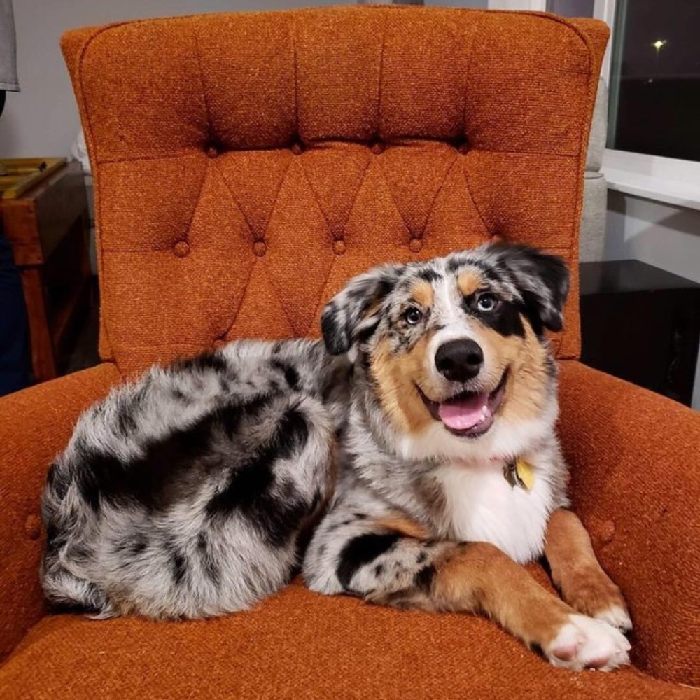 Trade with anaicarter